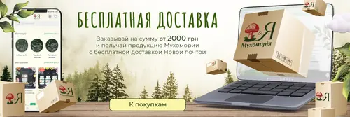 Slide Image #2