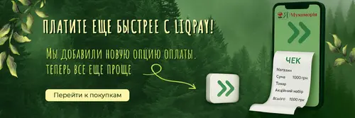 Slide Image #3