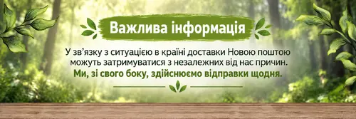 Slide Image #2