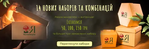 Slide Image #6