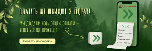 Slide Image #3