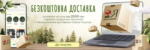 Slide Image #2