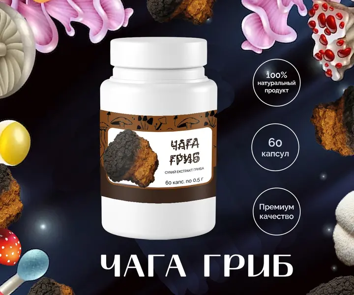 Купить гриб Чага в капсулах 0.5г – 60 штук с доставкой