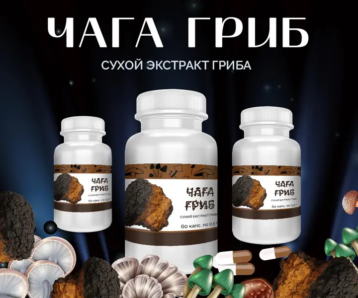 Упаковка капсул с грибом Чага – 60 шт по 0.5 г