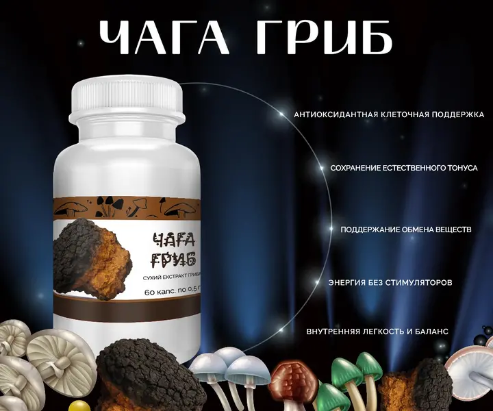 Капсулы с экстрактом гриба Чага