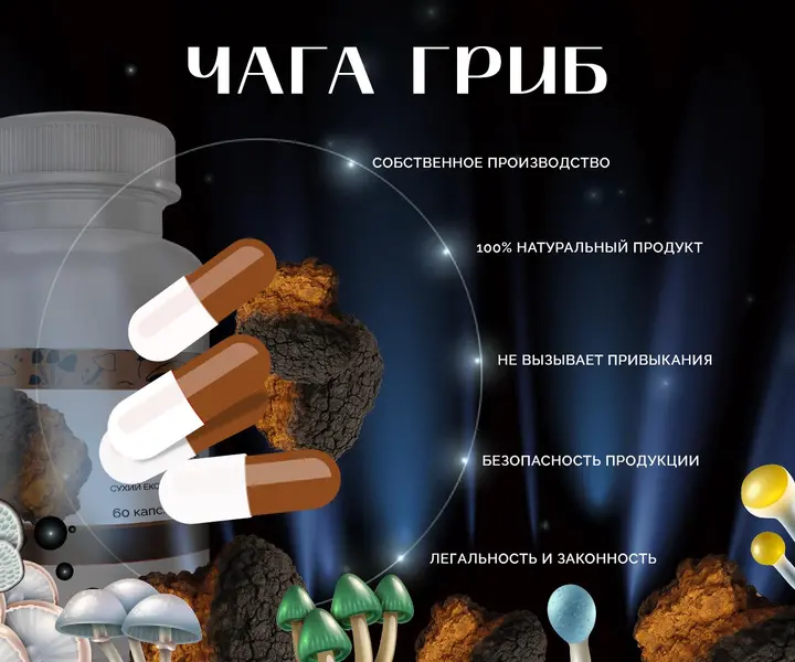Фото капсул гриба Чага