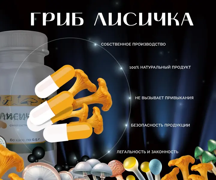 Фото капсул гриба Лисичка – обзор продукта