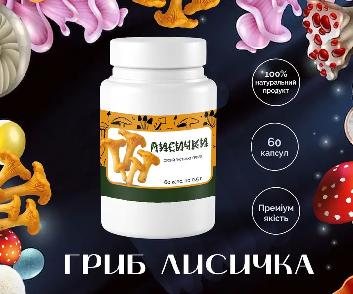 Купити гриб Лисичка в капсулах 0.5г – 60 штук з доставкою