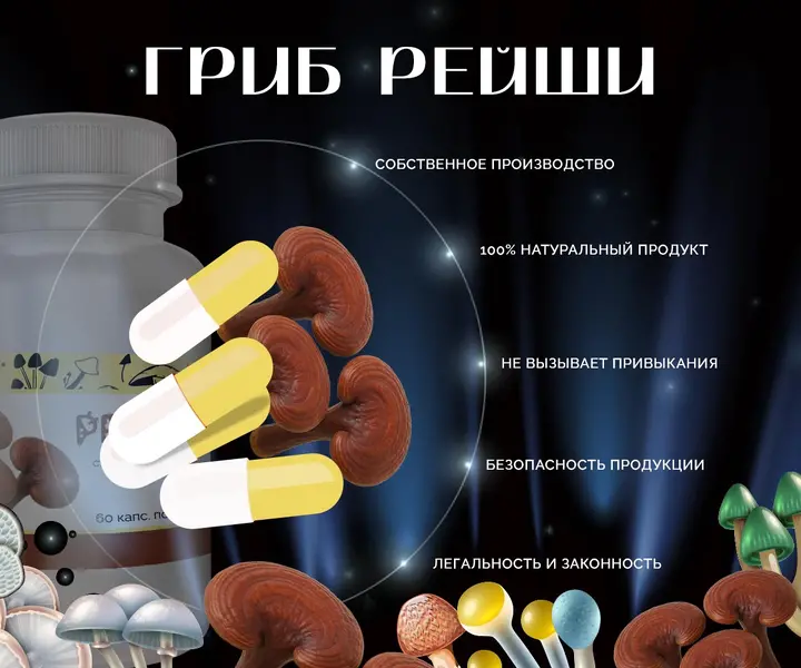 Фото капсул гриба Рейши