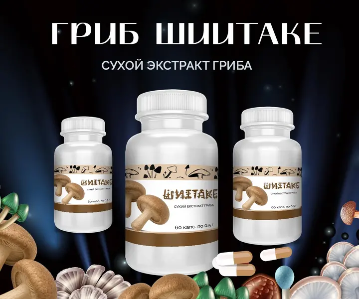 Упаковка капсул с грибом Шиитаке – 60 шт по 0.5 г