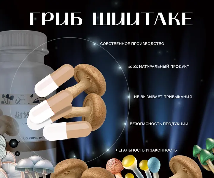 Фото капсул гриба Шиитаке