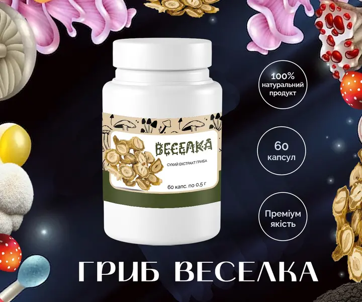 Купити гриб Веселка в капсулах 0.5г – 60 штук з доставкою