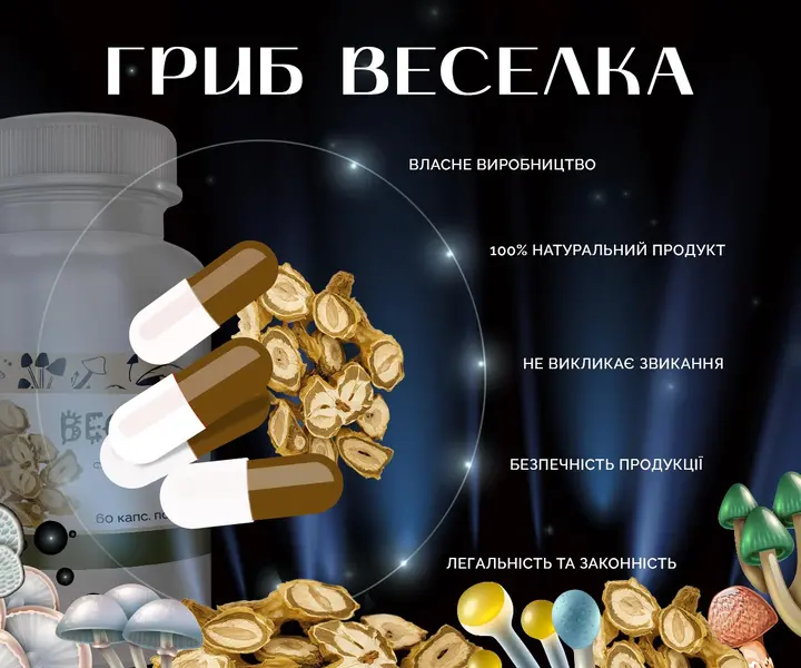 Гриб Веселка в капсулах – фото товару для ознайомлення