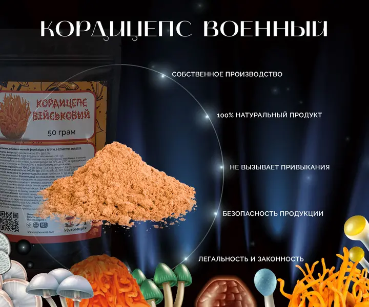 Порошок Кордицепса: натуральный состав