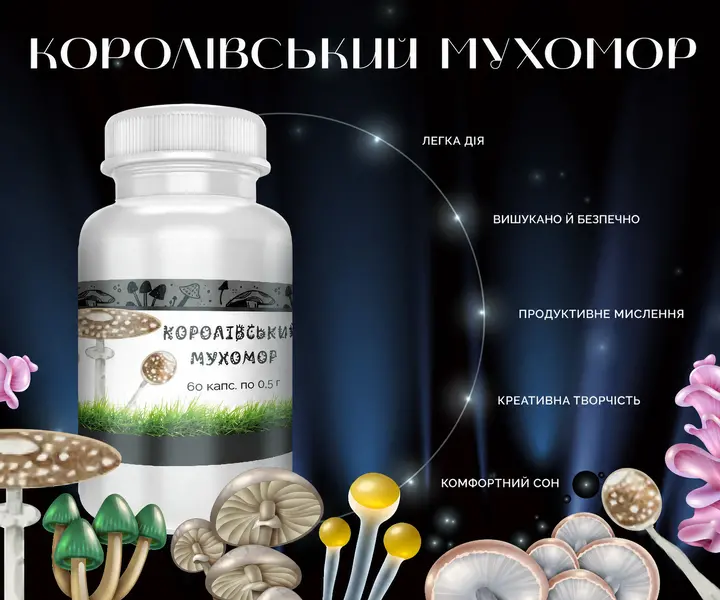 Капсулы с молотым сырьем королевского мухомора крупным планом