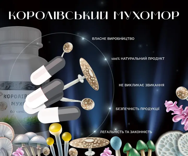 Сушеный молотый королевский мухомор в капсулированном формате