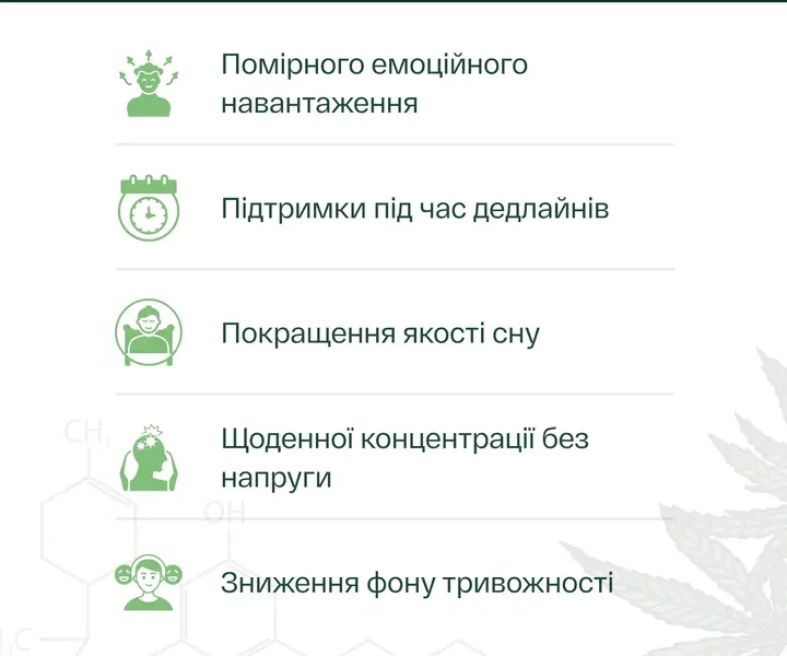 Масло КБД с мятным вкусом во флаконе с пипеткой