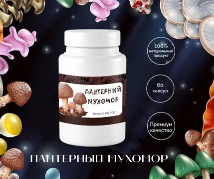 пантерный мухомор