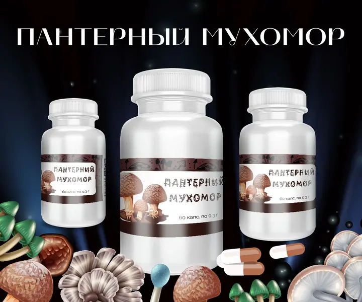Капсулы с пантерными мухоморами