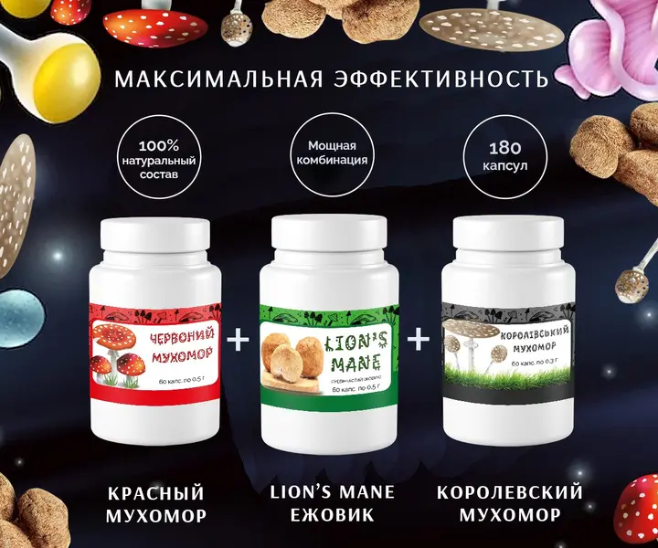 Органический комплект: мухоморы и ежовик