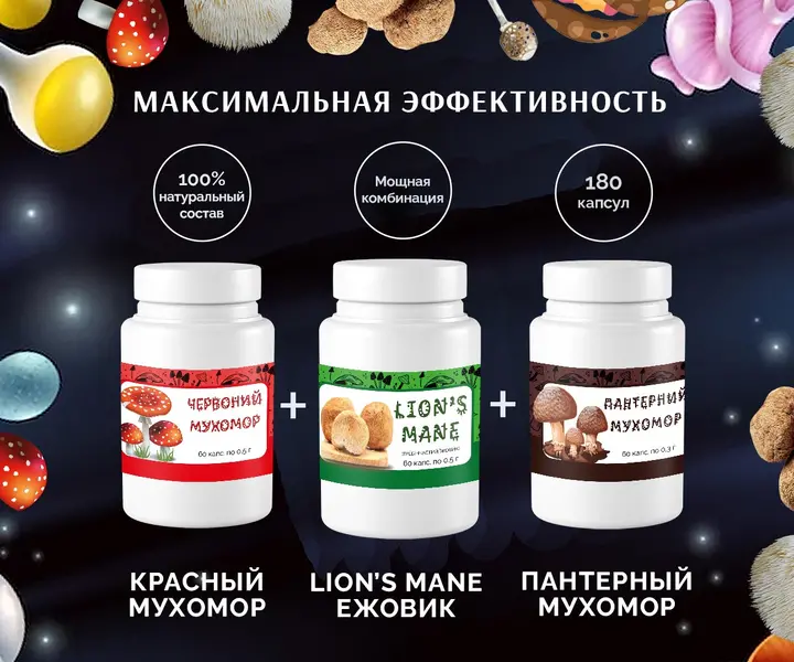 Капсулы мухоморы и ежовик