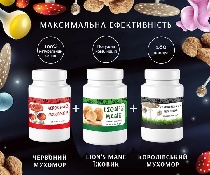Органічний комплект: мухомори та їжовик