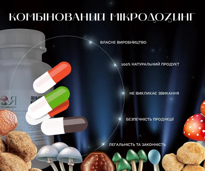 Комплект мухомори та їжовик