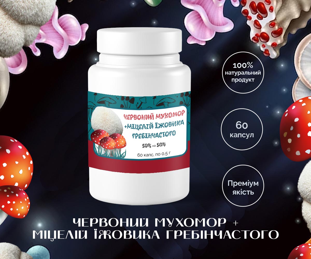 その他 xymorpha meeki. Микс мухомора красного и мицелия ежовика купить недорого - Мухомория